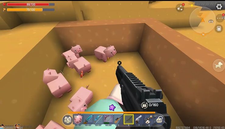 杀死一只小猪都需要几发子弹呢？
